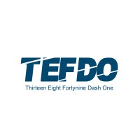 TEFDO logo - Similar company to Regin Controls Türkiye