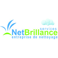 Net Brillance logo - Similar company to Net Brillance
