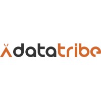 Data Tribe logo - Similar company to Datatribe