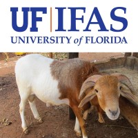 Feed the Future Innovation Lab for Livestock Systems logo - Similar company to Ali Birra Foundation