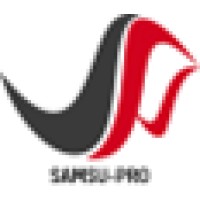 SAMSU PRO CONSULTING SOLUTIONS PRIVATE LIMITED logo - Similar company to Webndevs It Solutions