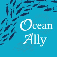 Ocean Ally Foundation logo - Similar company to Augmented Ally It Solutions Pvt Ltd