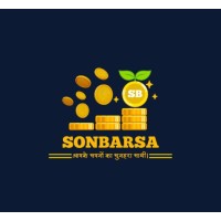 Sonbarsa financial services and consultant pvt ltd logo - Similar company to I2 Services