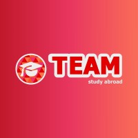 Team Consultancy UK logo - Similar company to Js Security Consulting