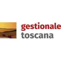 Gestionale Toscana Srl logo - Similar company to Landweb Srl