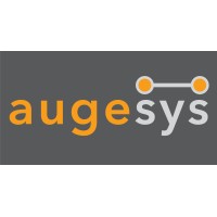 Augesys Solutions India Pvt Limited logo - Similar company to Augeo Resolution Services Private Ltd.