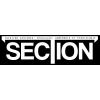 Section T logo - Similar company to Dessein De Carrière