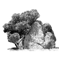 Spirit Rock Meditation Center logo - Similar company to Open Source Endowment