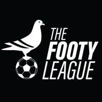The Footy League logo - Similar company to Wellfire Interactive