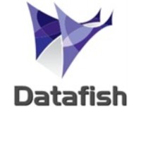 Datafish UK Ltd logo - Similar company to Wemtech Solutions