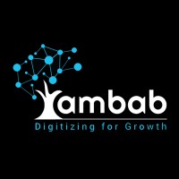 Ambab Infotech Pvt Ltd logo - Similar company to Iksula