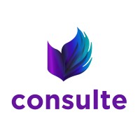Consulte Informatica logo - Similar company to Consulte Geo