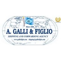 A.Galli & Figlio Srl logo - Similar company to Gdf Corrado Srl
