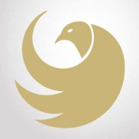 Falcon-Wings logo - Similar company to Flitewatch Ltd