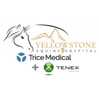Yellowstone Equine Hospital logo - Similar company to Lander Regional Hospital