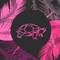 Infusion Beach Club logo - Similar company to The Eden