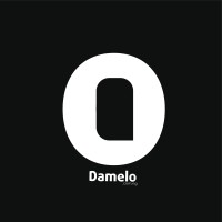 Damelo Global logo - Similar company to Jasmetrix Designs