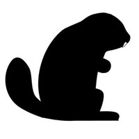 Beaver Academy logo - Similar company to Slandercast Studio