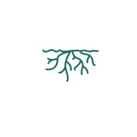Roots logo - Similar company to Soundch3K