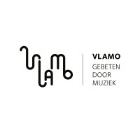 Vlamo vzw