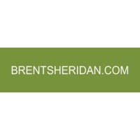 Brent Sheridan Consulting logo - Similar company to Centre For Applied Transformation