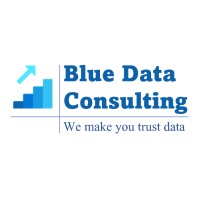 Blue Data Consulting logo - Similar company to Rejoiceai - Artificial Intelligence Company