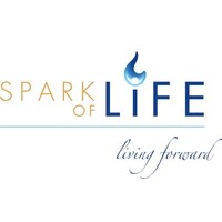 Spark of Life logo - Similar company to More Balls Than Most - Serious Fun