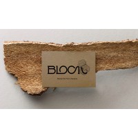 BLOOM Bocas del Toro logo - Similar company to Big Bay | Eco-Lodge | Bocas Del Toro | Panama