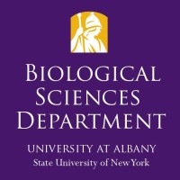 UAlbany Biology Department logo - Similar company to Center Of Excellence In Rna Research And Therapeutics