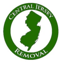Central Jersey Removal