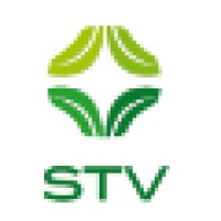 Stv Stevia Corporation