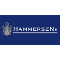 HAMMERSENs logo - Similar company to Dr. Michael Weißgerber Rechtsanwalt