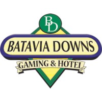 Batavia Downs Gaming logo - Similar company to Salomone