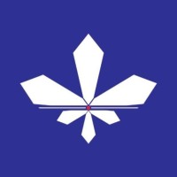 Synsiva logo - Similar company to Proact World