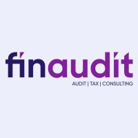 Finaudit Consulting logo - Similar company to Softysol