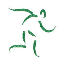 Healing Therapeutics Physical Therapy PLLC logo - Similar company to Four3 Rehab And Performance