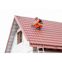 Roofing Experts of Orlando logo - Similar company to Roofing & Gutter Pros