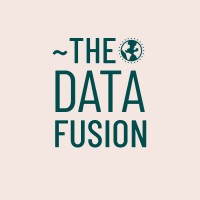 The Data Fusion logo - Similar company to Untold Analytics