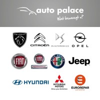 AUTO PALACE Groep logo - Similar company to Checkventory