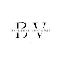 Birdseye Ventures