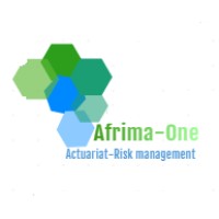 Afrima-One logo - Similar company to Bo Consulting