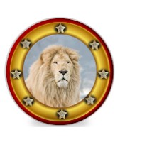 Valmiki Enterprises Private Limited logo - Similar company to Dreamyhush