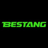 Bestang Tyres Global logo - Similar company to Karantyre کاران تایر