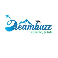 Dreambuzz Education logo - Similar company to Studyflex Education Consultancy