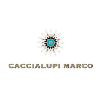 Caccialupimarco SL logo - Similar company to Seolife