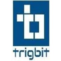 Trigbit Technologies Pvt. Ltd. logo - Similar company to Wottacore Digital Solutions Pvt Ltd
