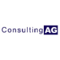 Consulting AG logo - Similar company to Rnb Consulting Gmbh