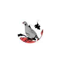 Amsterdam Koerdisch Film Festival logo - Similar company to Kurd