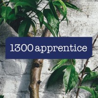 1300apprentice logo - Similar company to Dizzy Property Group