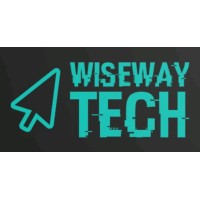 Wiseway Tech logo - Similar company to Wisewaytec